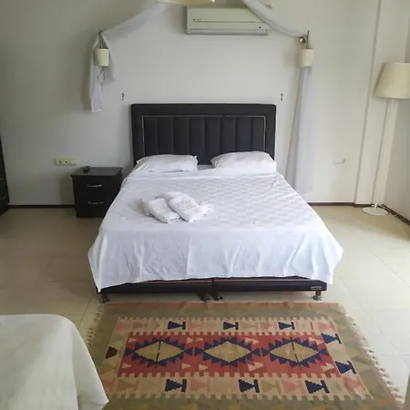 Nano Otel 3*